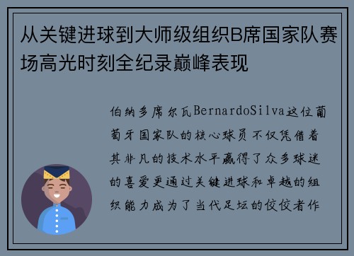 从关键进球到大师级组织B席国家队赛场高光时刻全纪录巅峰表现